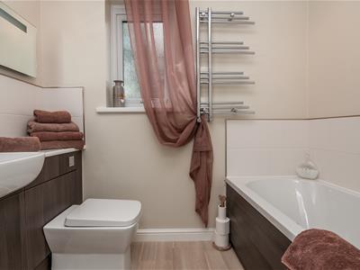 Picture 11